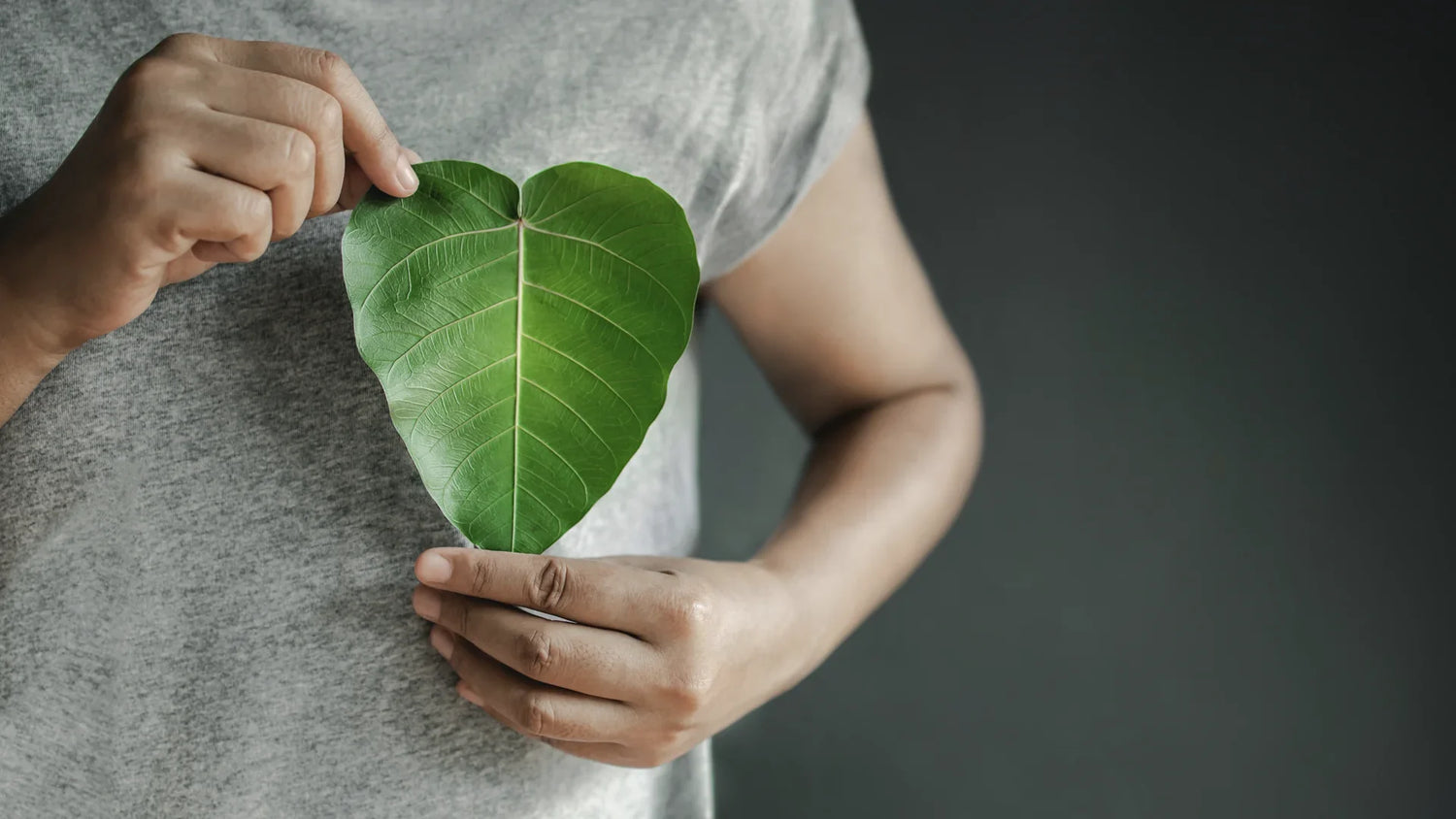 Cosmetic Wisdom: Avoiding Harmful Ingredients for Healthy Beauty - Zorah biocosmétiques